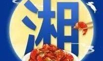 网易活动最新爆料新闻,全新玩法与惊喜福利即将揭晓