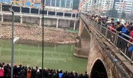 通江县最新爆料信息,揭秘神秘事件背后的真相