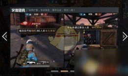 突变模式最新爆料,揭秘基因变异背后的科学奥秘