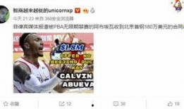首钢男蓝最新爆料,备战新赛季，备战背后的故事与挑战”