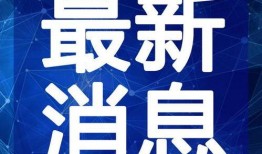 阿楠服饰爆料最新消息视频,揭秘时尚界新潮流趋势