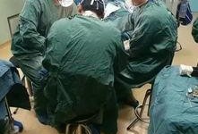 杭州医生爆料新闻最新情况,揭露医疗乱象背后的真相